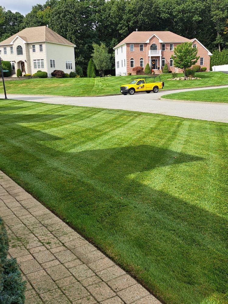 Cut The Grass Landscaping
