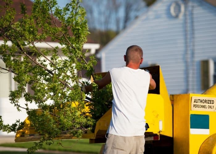 Rhode Island Tree Removal