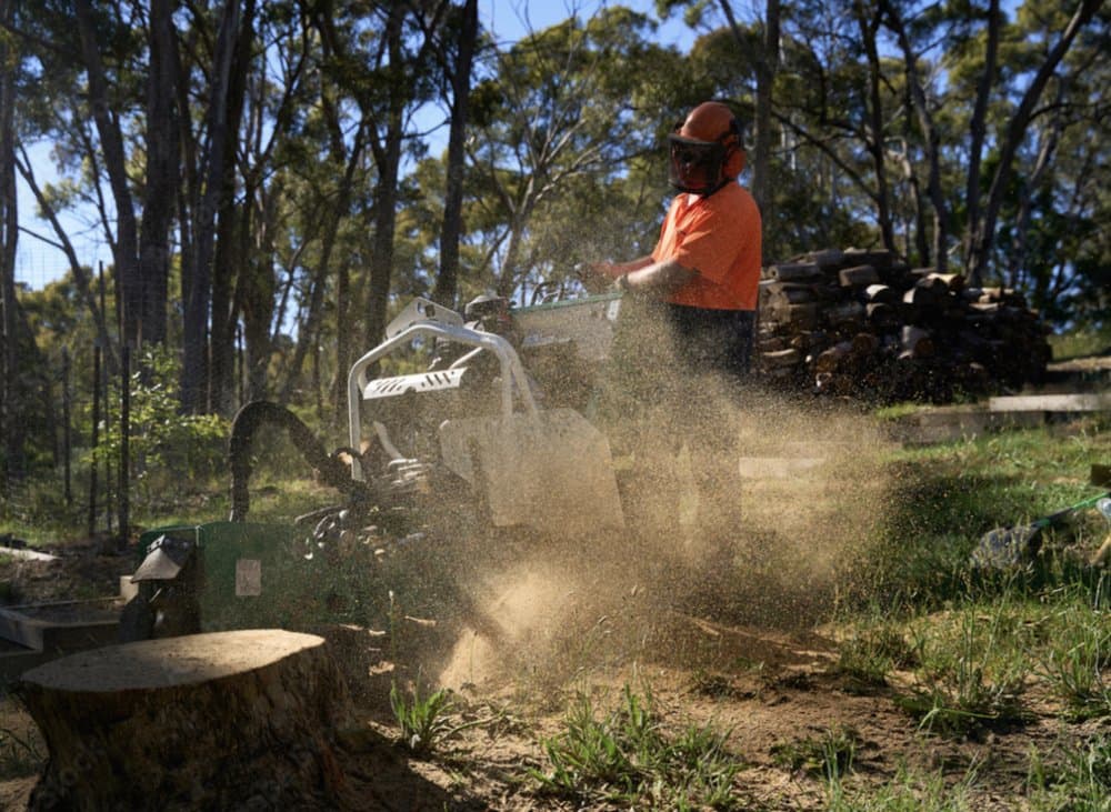 RI Tree Service Pros