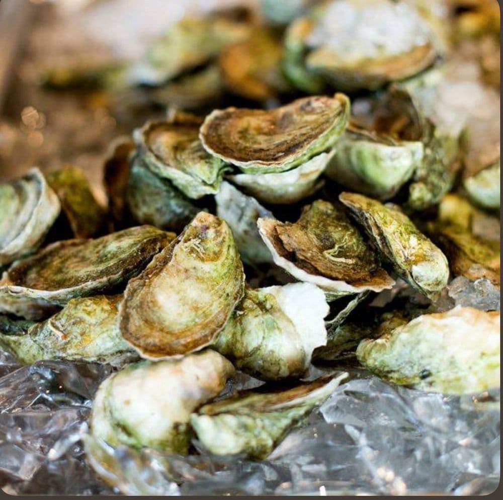 Matunuck Oyster Bar