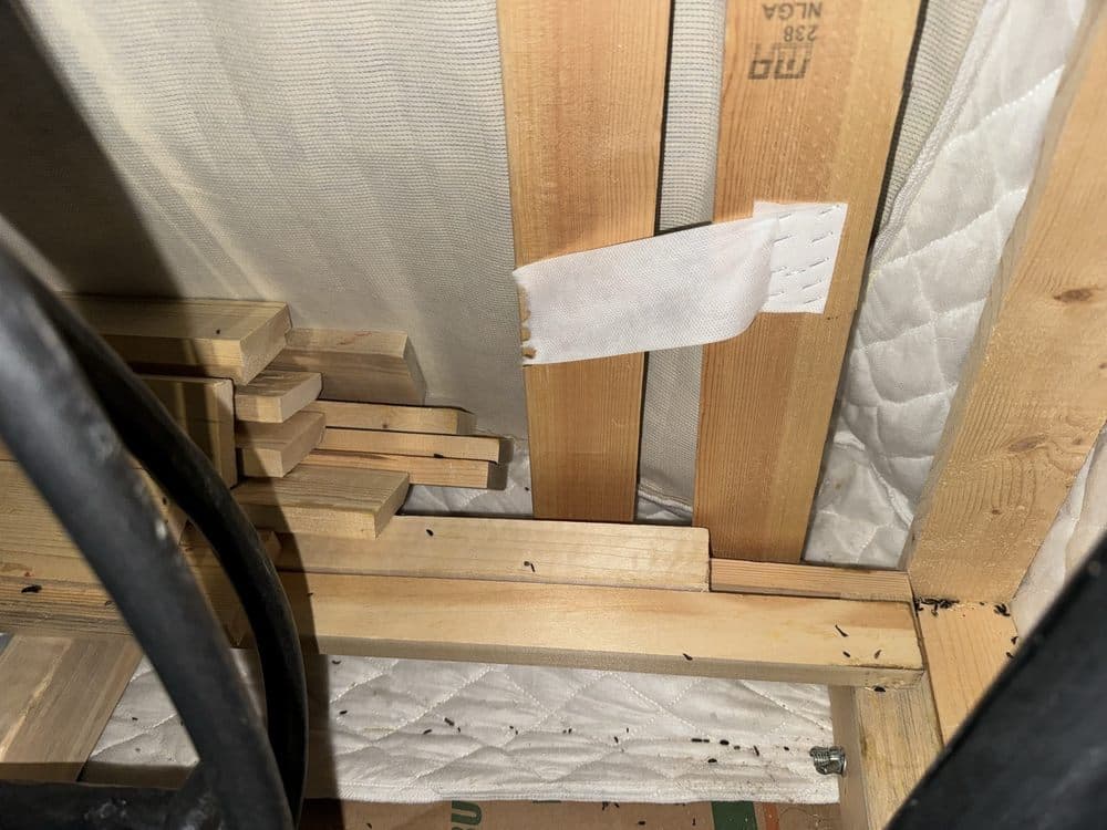 Store Space Self Storage