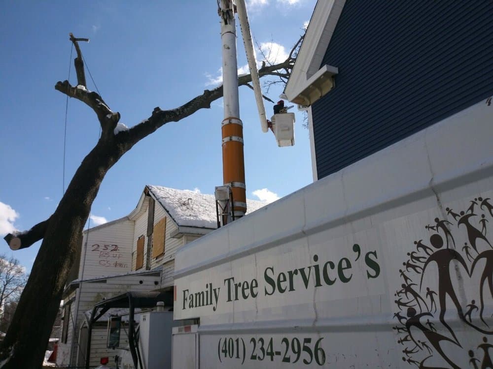 Family Tree Services