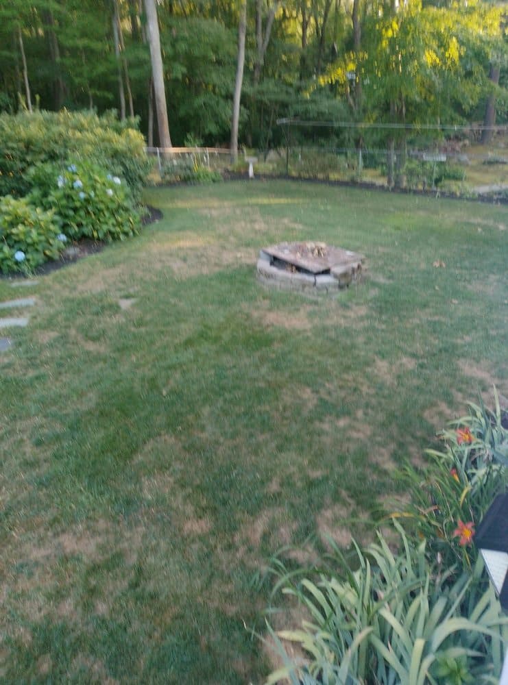 MissionGreen Services