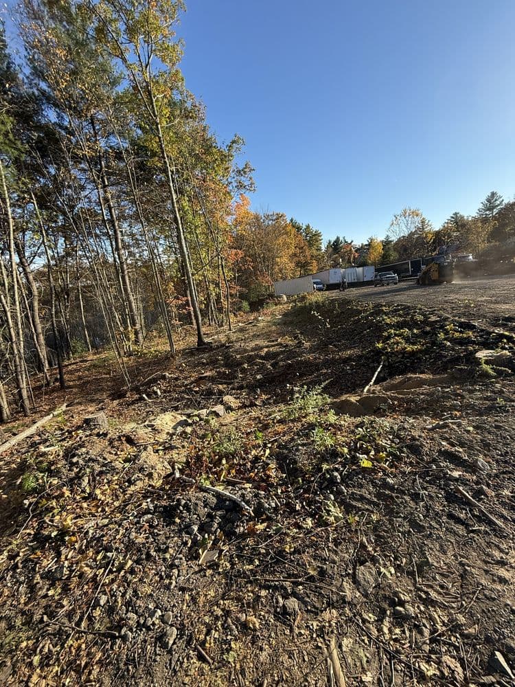 Limitless Tree and Property Services