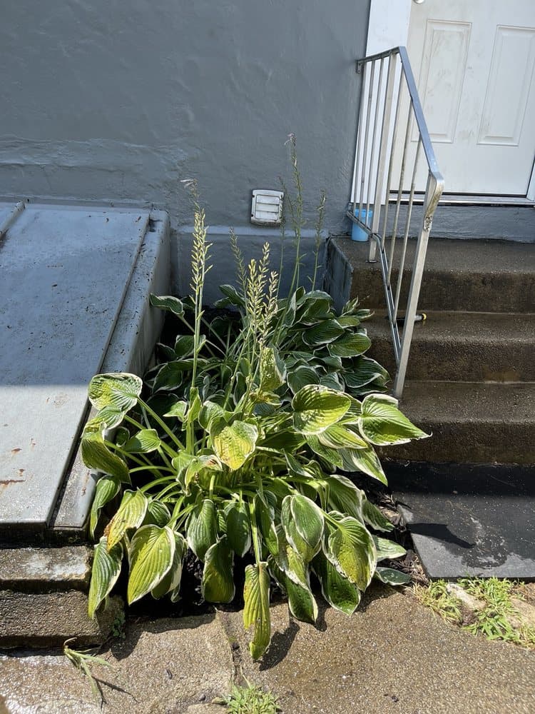 Good Deeds Painting & Renovating