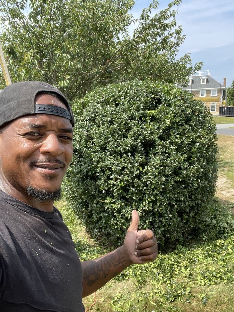 Outshine Landscaping