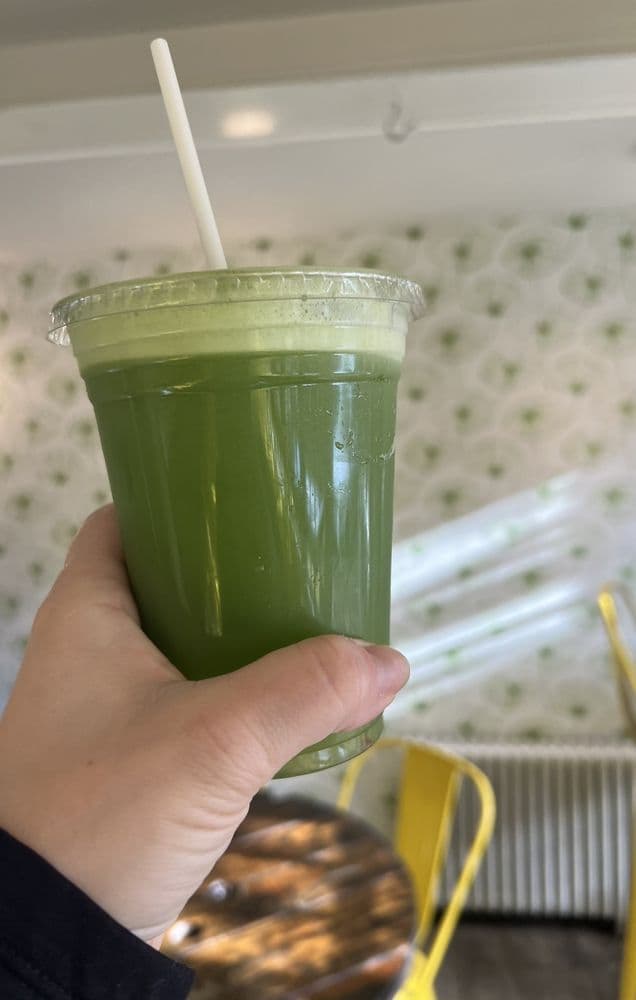 Twelve Plants At Root