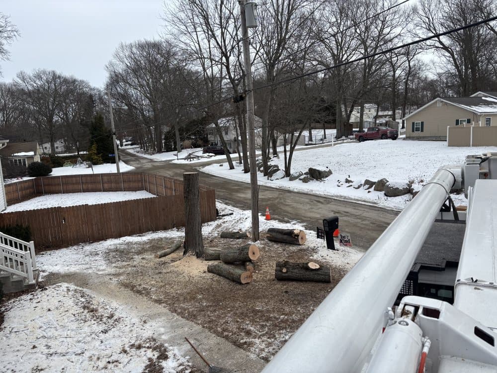 Johnny,s Tree Service