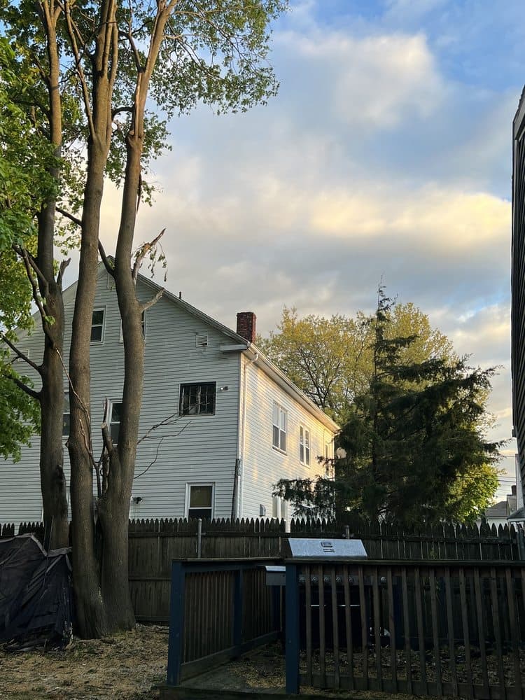 Bello Jardin Tree Services