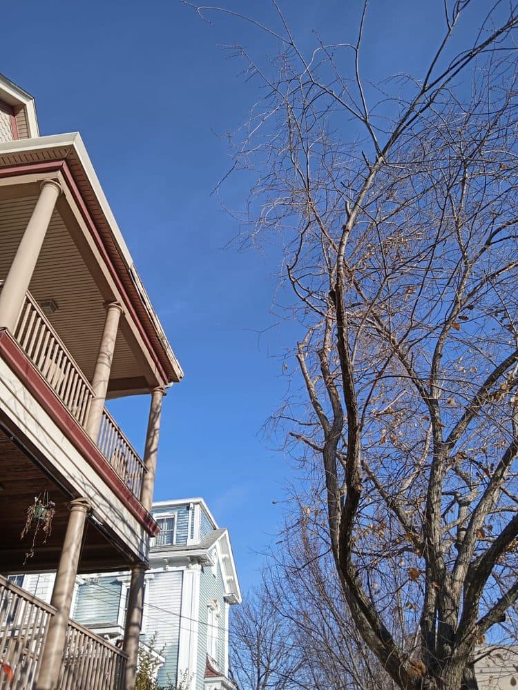 Best Way Tree Service