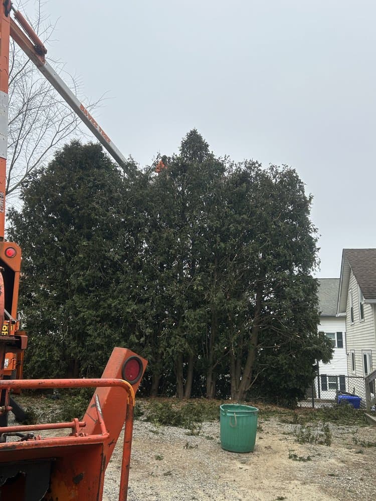 Advanced Tree Solutions