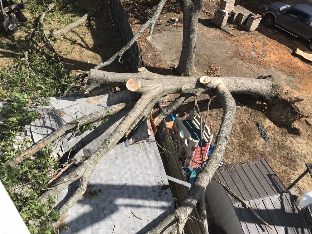 Elmer’s Tree Service