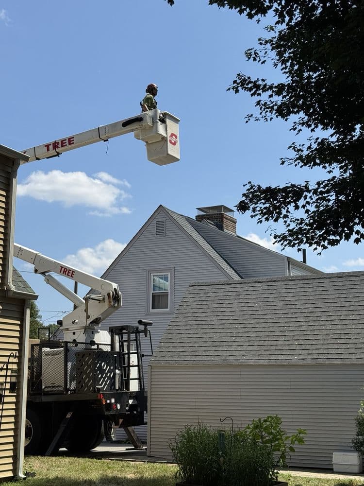 Stanley Tree Service