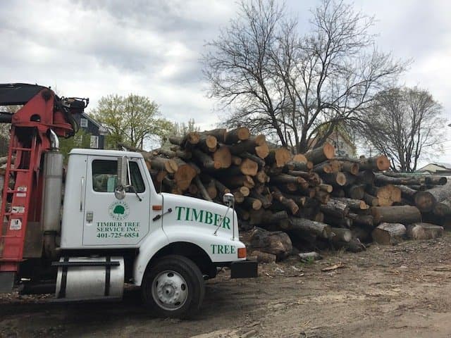 Timber Tree Service